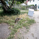 Image for article titled Exploring Santa Cruz Island